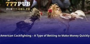 American Cockfighting