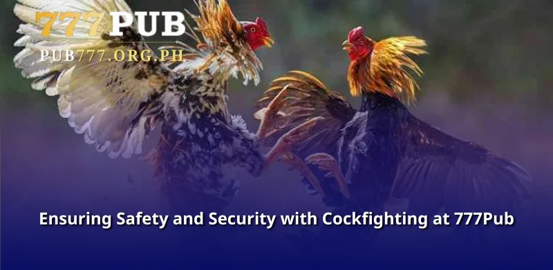 Ensuring Safety and Security with Cockfighting at 777Pub